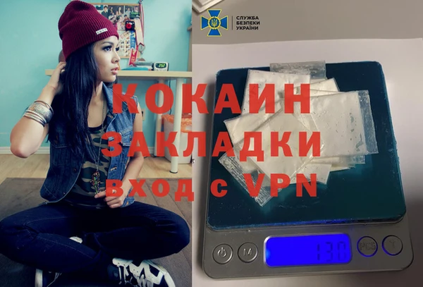 ПСИЛОЦИБИНОВЫЕ ГРИБЫ Арсеньев