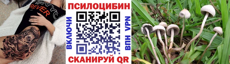 Галлюциногенные грибы прущие грибы  где найти наркотики  OMG зеркало  Салехард 