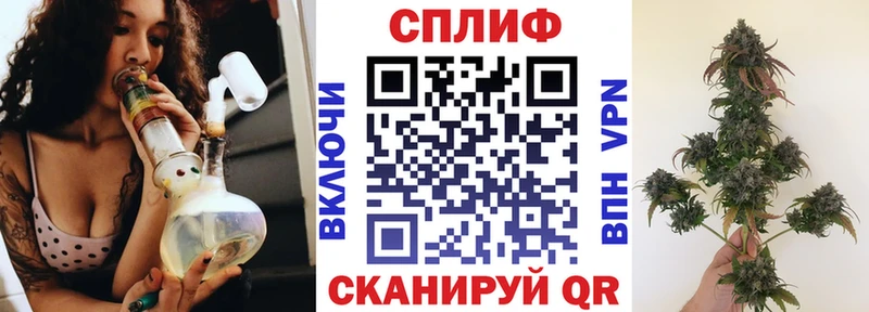 mega ONION  купить  цена  Салехард  Каннабис планчик 